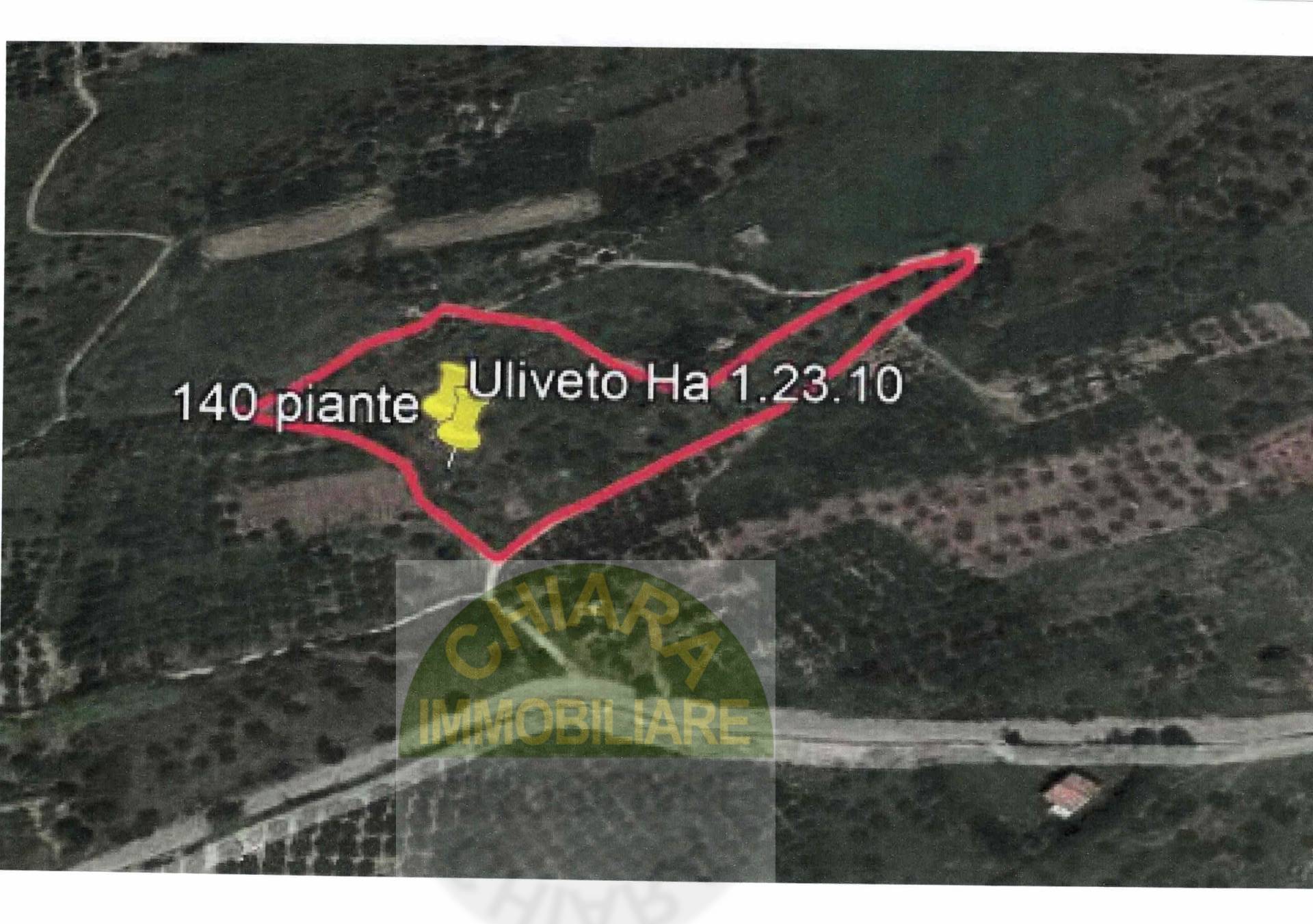 Immagine 28 di Terreno agricolo in vendita  in Sotto Castello snc a Carunchio