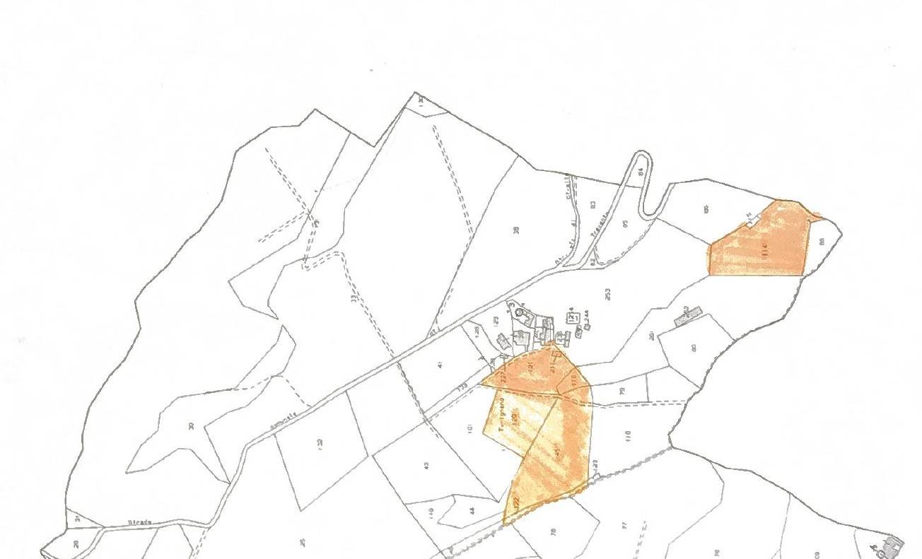 Immagine 32 di Rustico / casale in vendita  in Via Trecento a Montespertoli