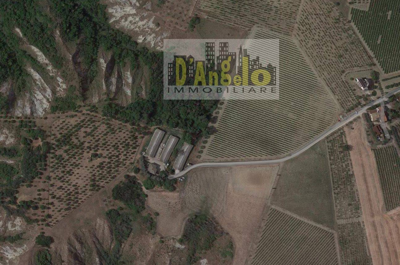 Immagine 11 di Casa indipendente in vendita  in Strada Provinciale 18 a Offida