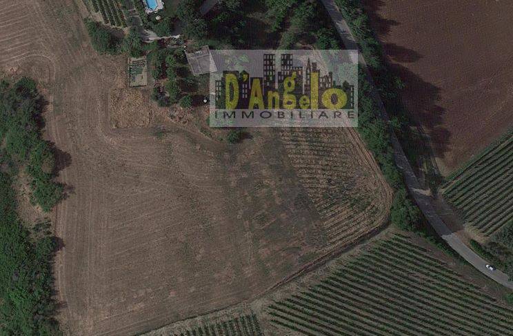 Immagine 4 di Casa indipendente in vendita  in Contrada Grazie a Offida