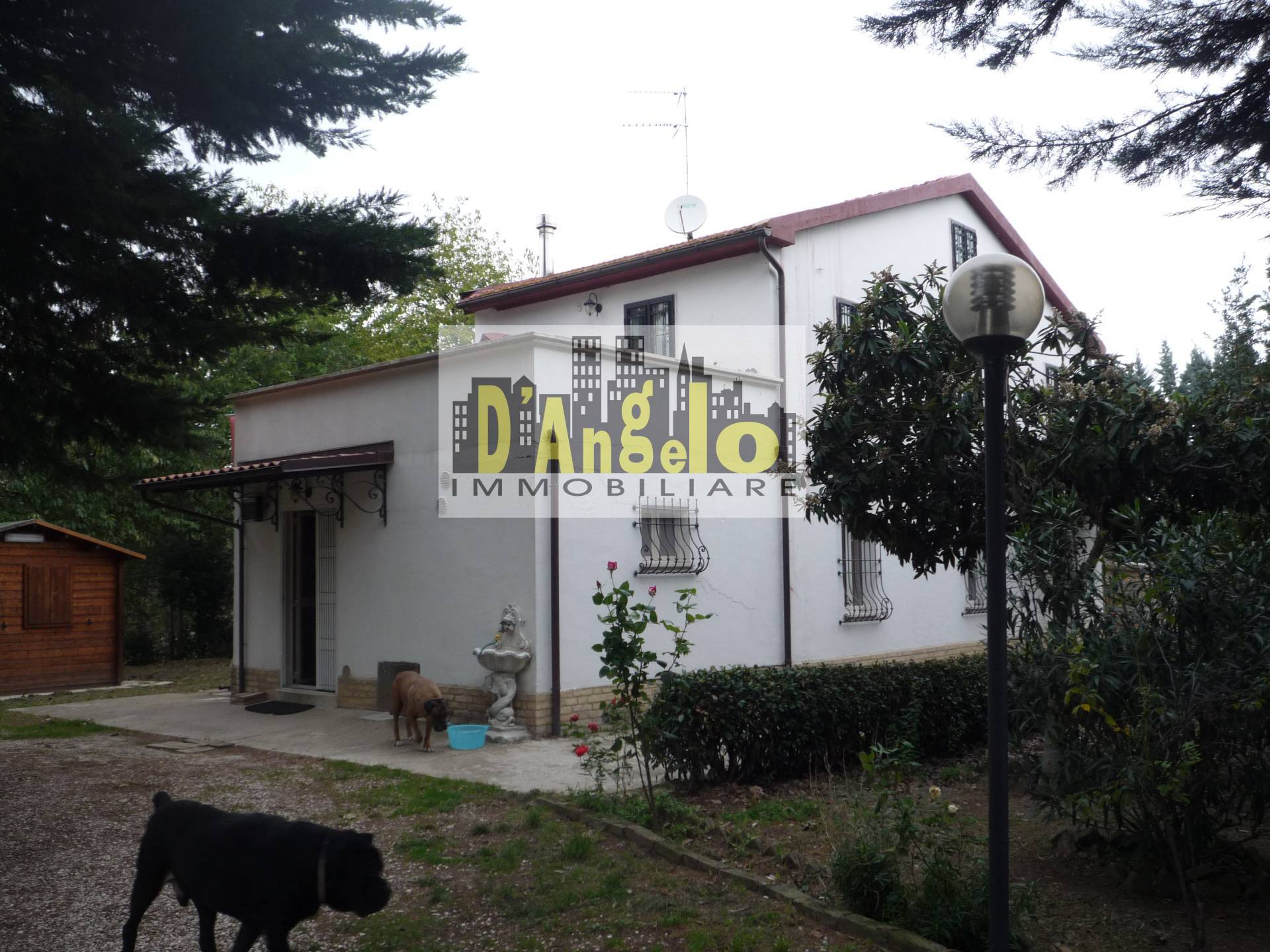 Immagine 2 di Casa indipendente in vendita  a Castignano