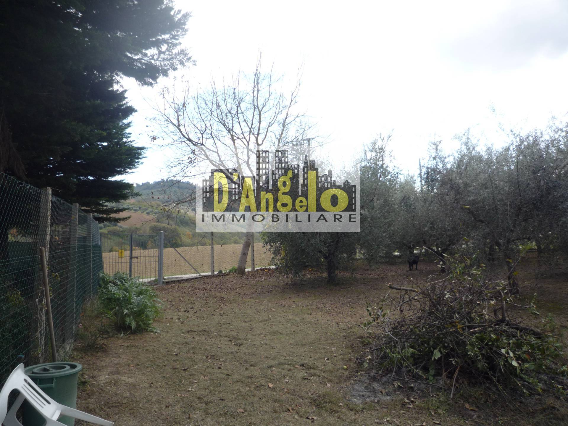 Immagine 9 di Casa indipendente in vendita  a Castignano