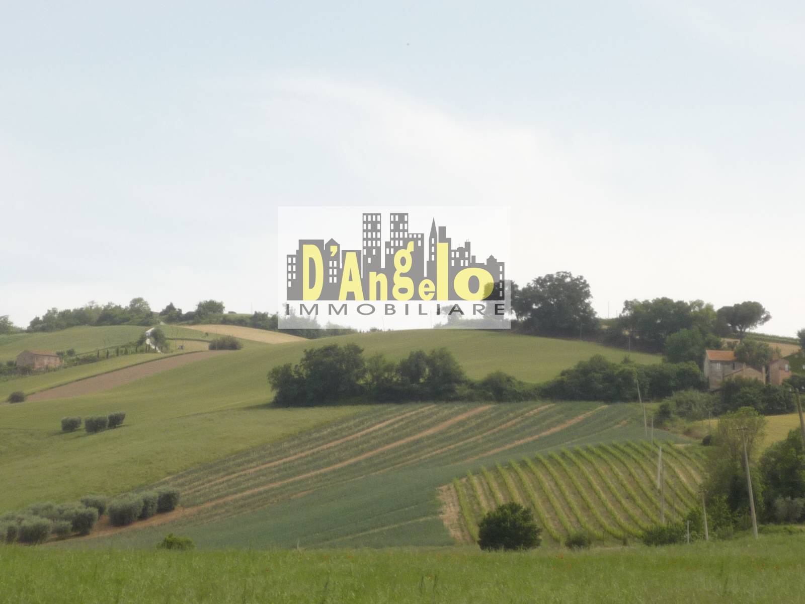 Immagine 11 di Casa indipendente in vendita  a Castignano