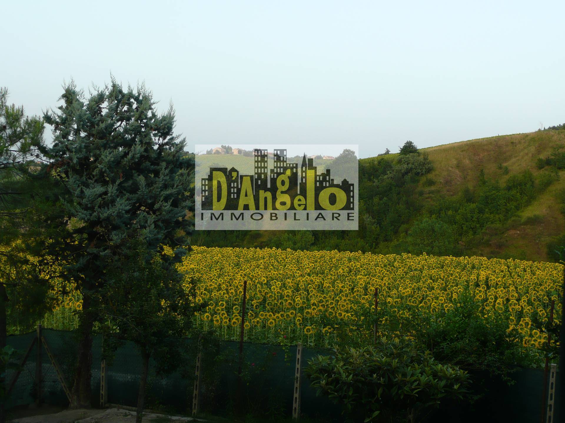 Immagine 12 di Casa indipendente in vendita  a Castignano