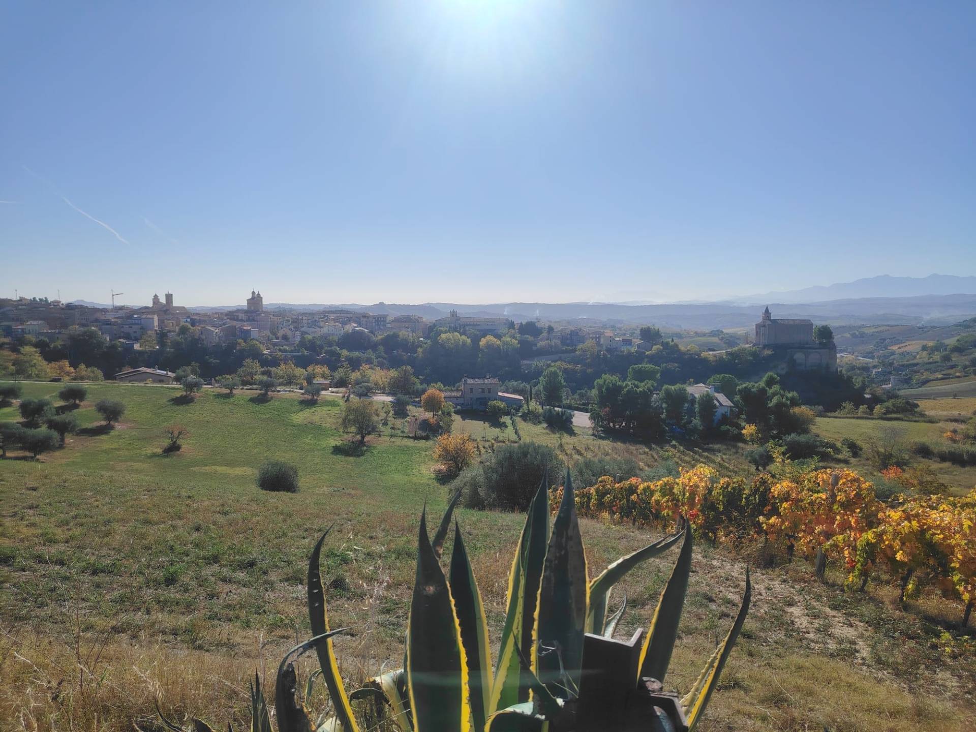 Immagine 16 di Rustico / casale in vendita  in Rovecciano a Offida