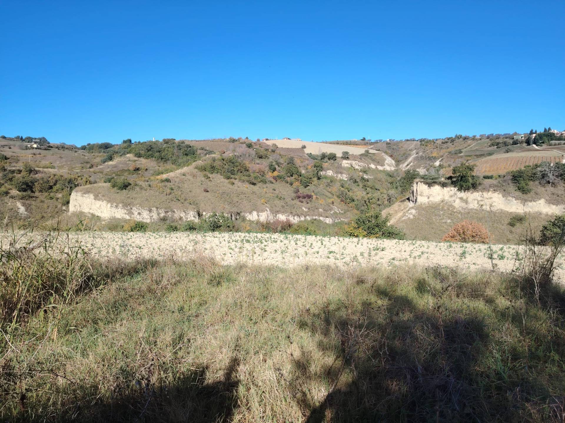Immagine 17 di Rustico / casale in vendita  in Rovecciano a Offida