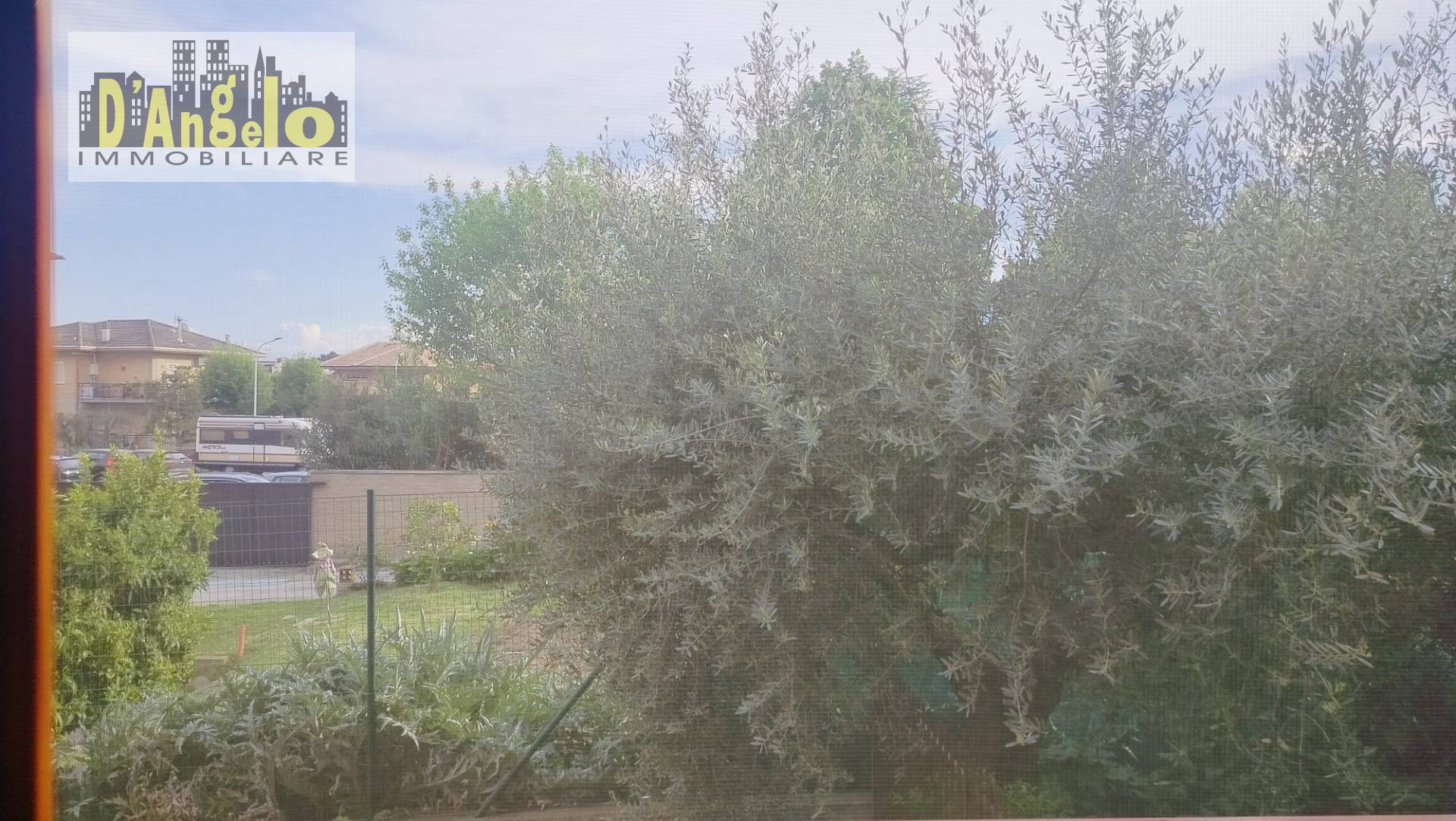 Foto annuncio 15