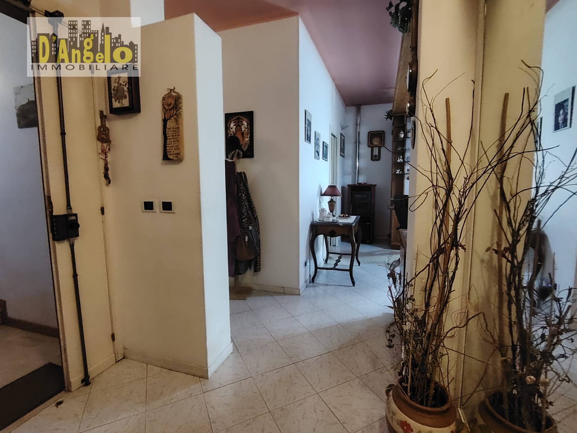 Foto annuncio 11