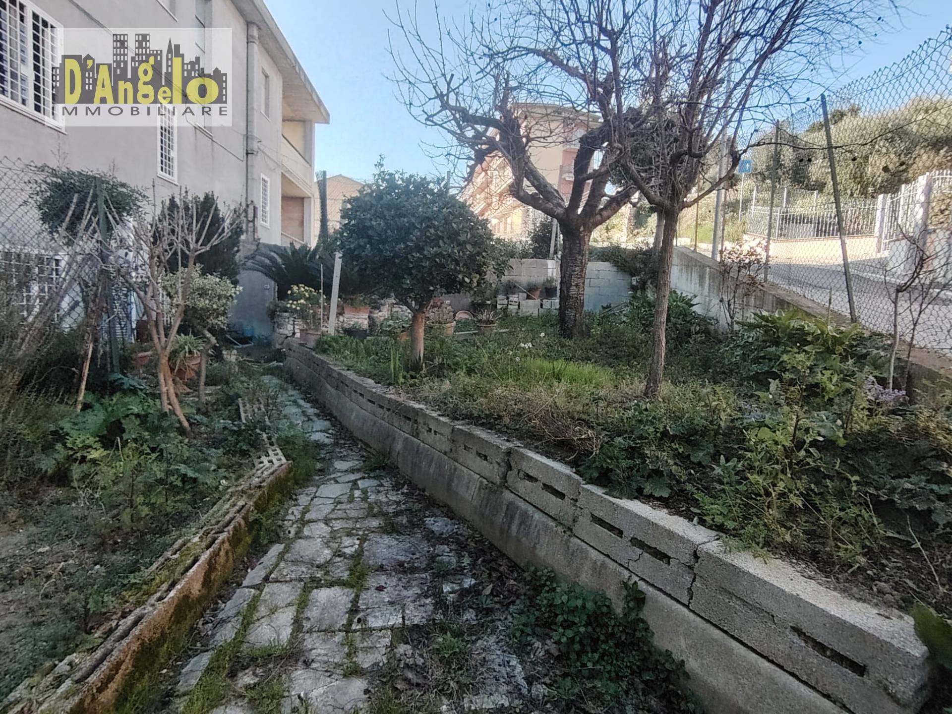 Foto annuncio 22