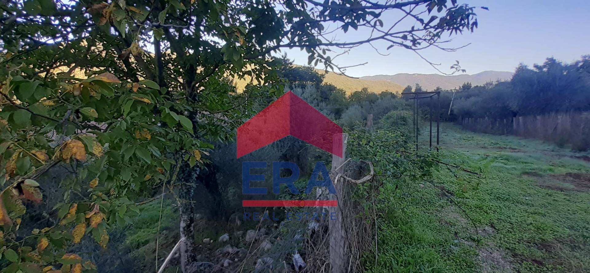 Immagine 7 di Terreno residenziale in vendita  in Via dei Colli snc a Agosta