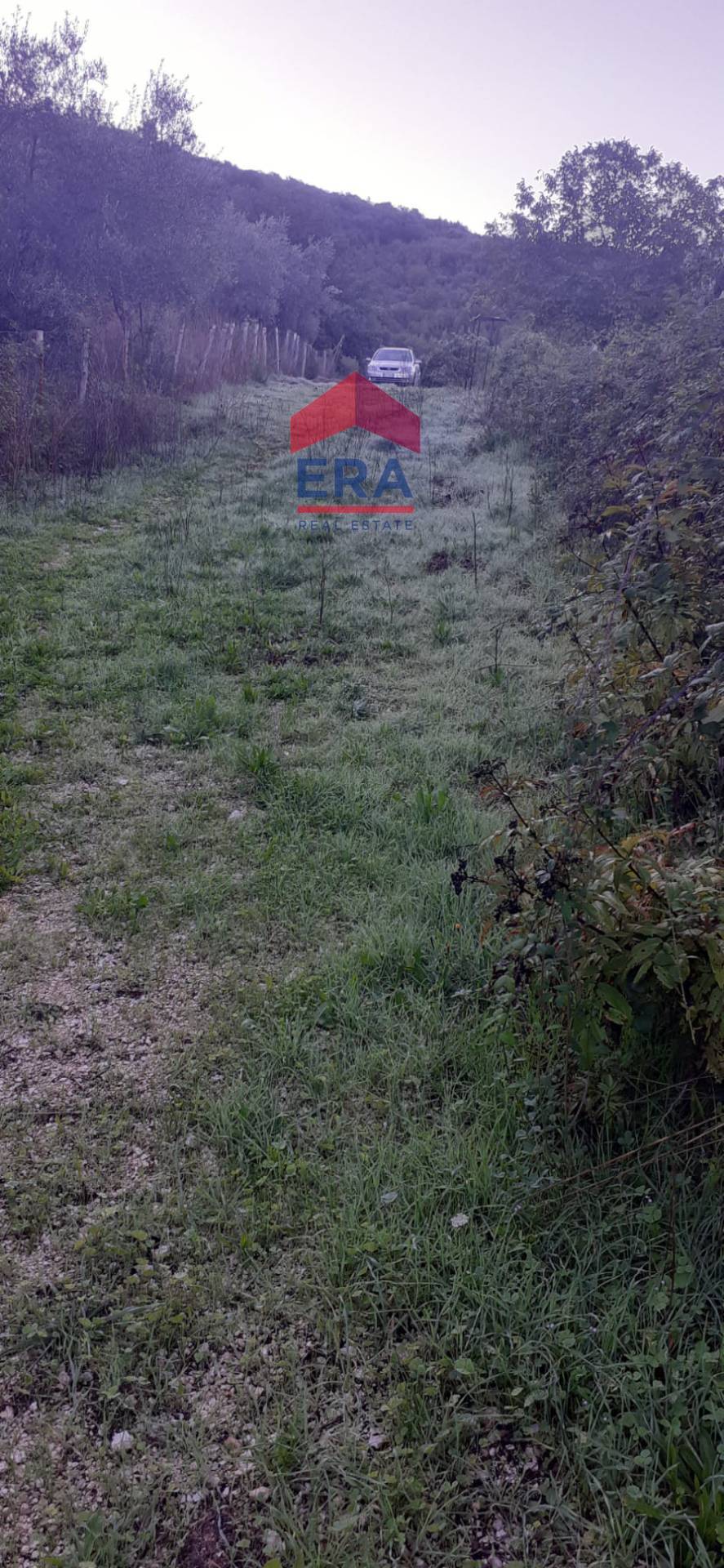 Immagine 9 di Terreno residenziale in vendita  in Via dei Colli snc a Agosta