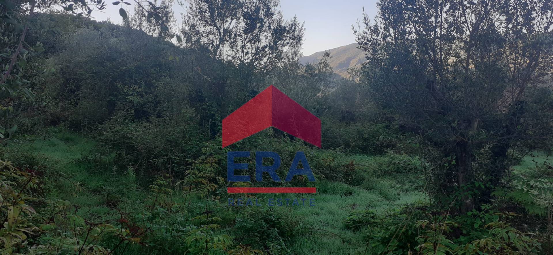 Immagine 10 di Terreno residenziale in vendita  in Via dei Colli snc a Agosta