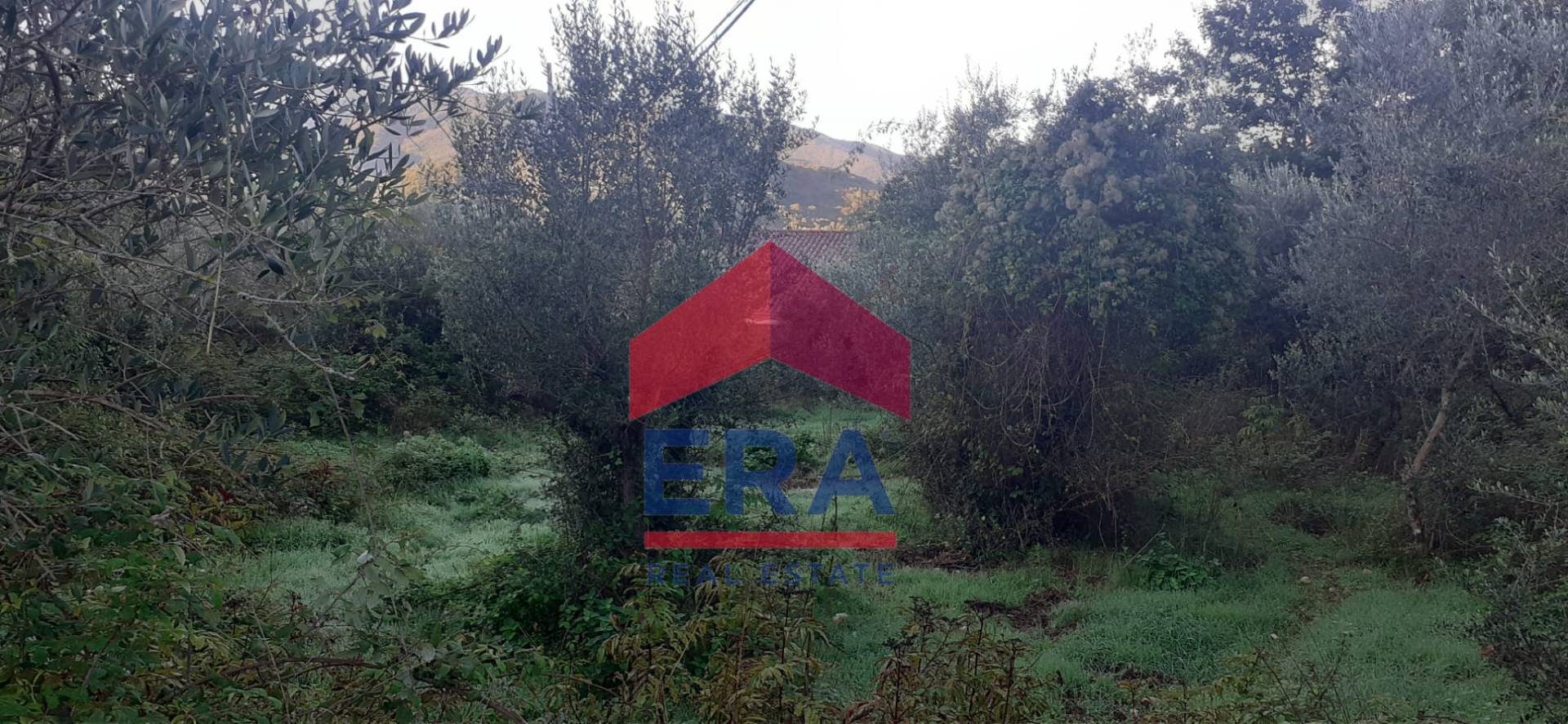 Immagine 11 di Terreno residenziale in vendita  in Via dei Colli snc a Agosta