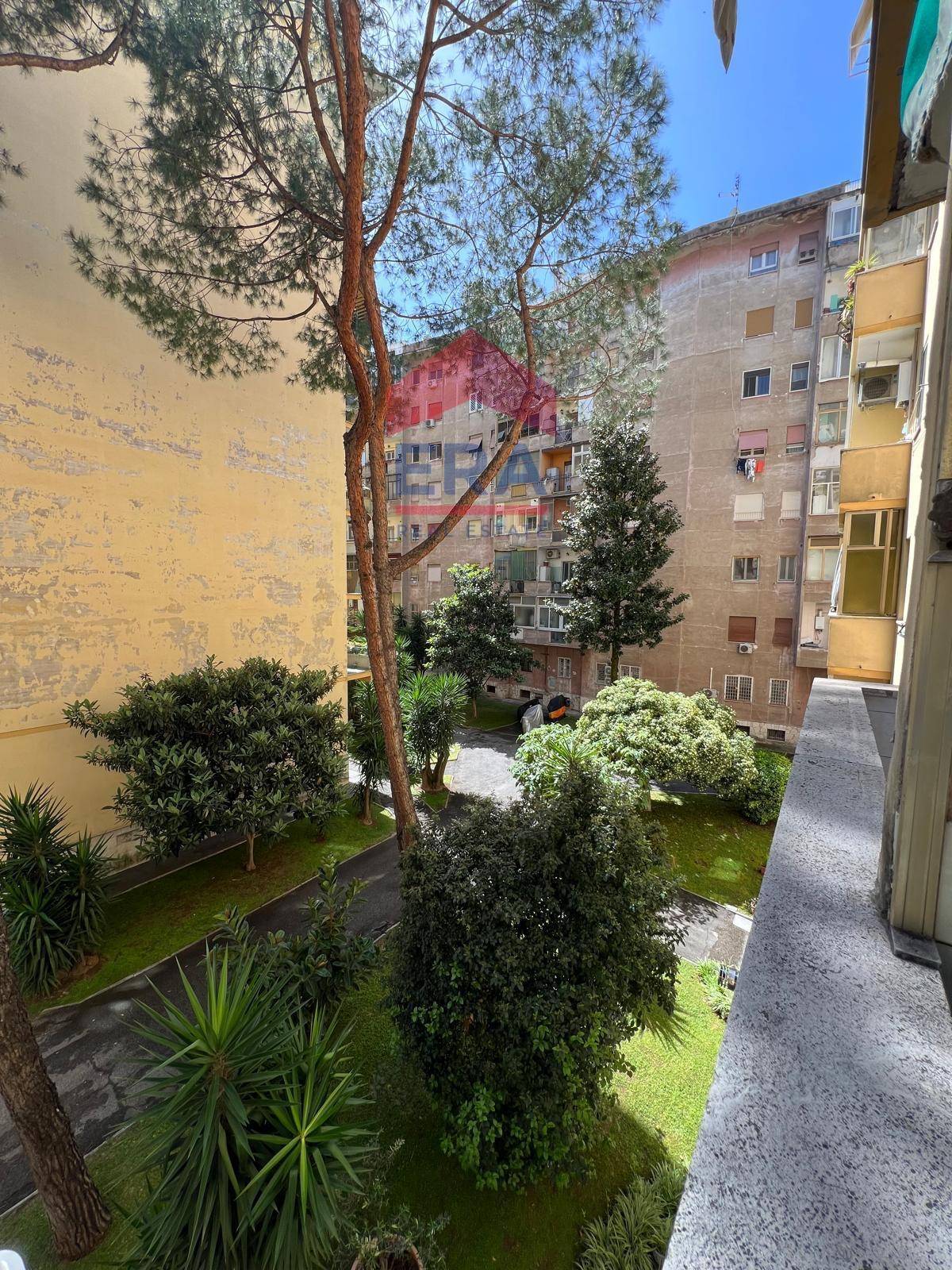 Foto annuncio 7
