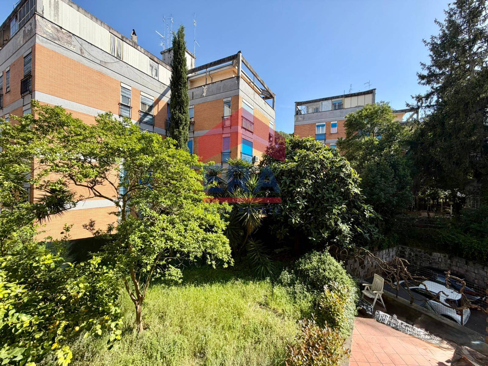 Foto annuncio 38
