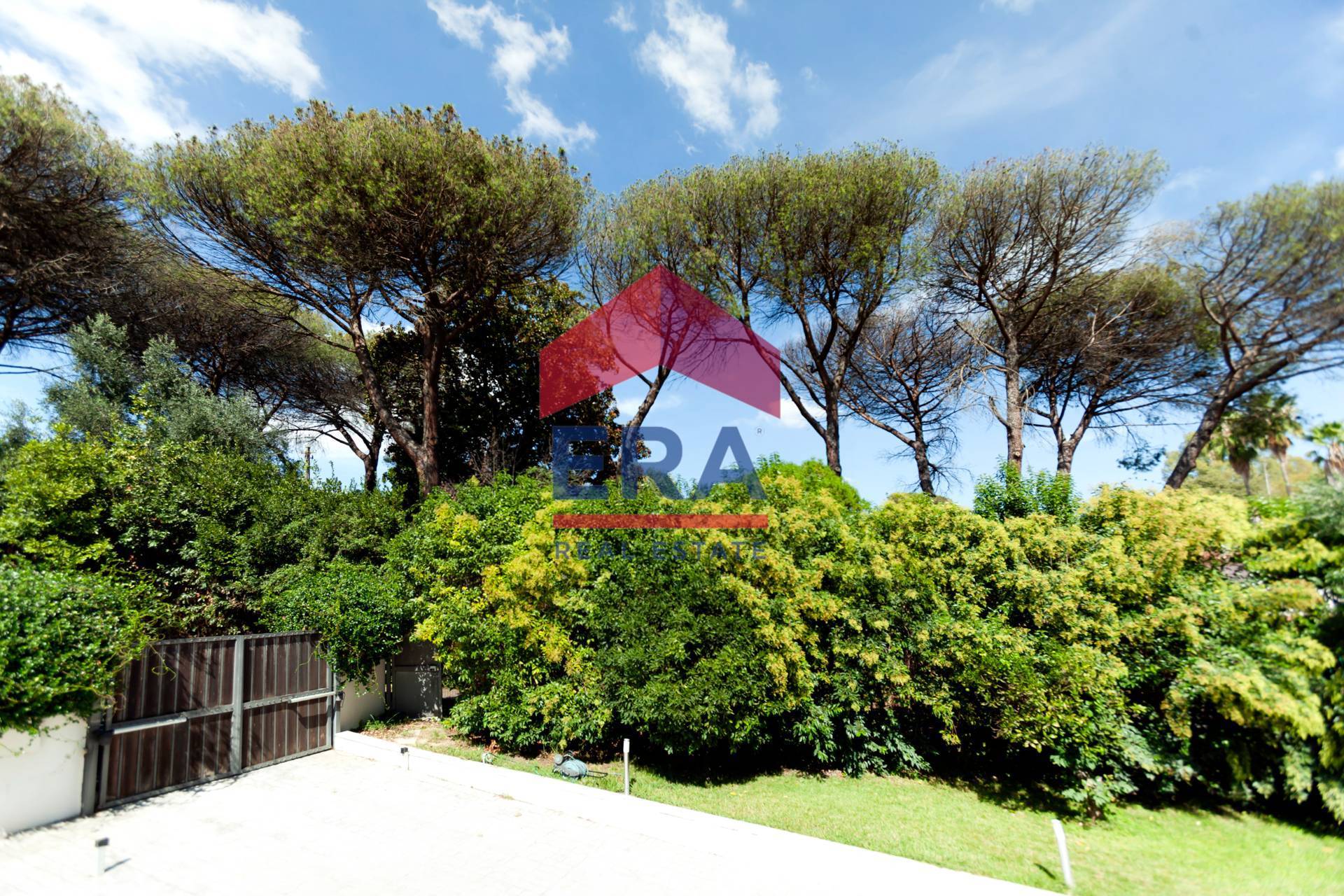 Foto annuncio 5