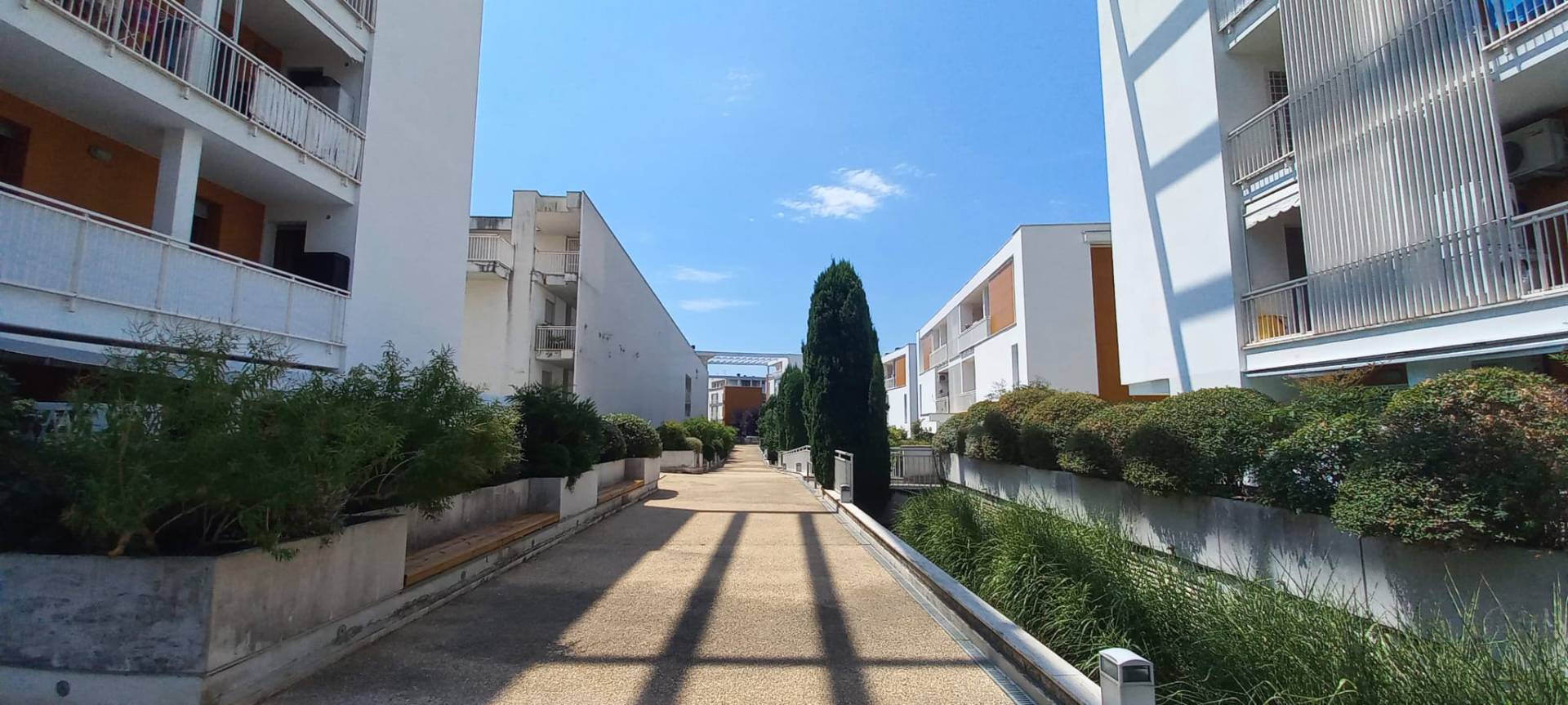Foto annuncio 6