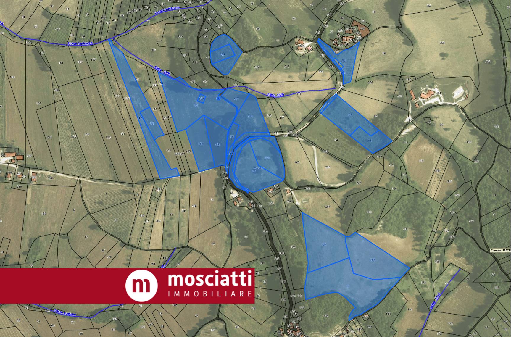 Immagine 1 di Terreno agricolo in vendita  in Località Colle Tenuto a Esanatoglia