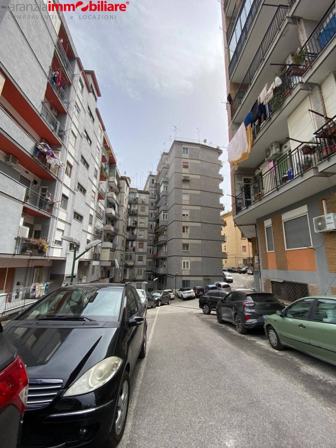 Foto annuncio 20