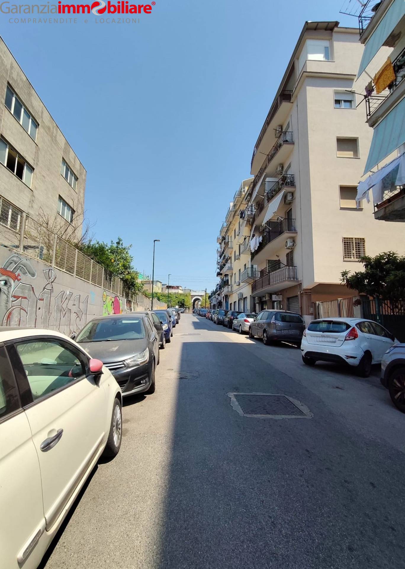 Foto annuncio 8