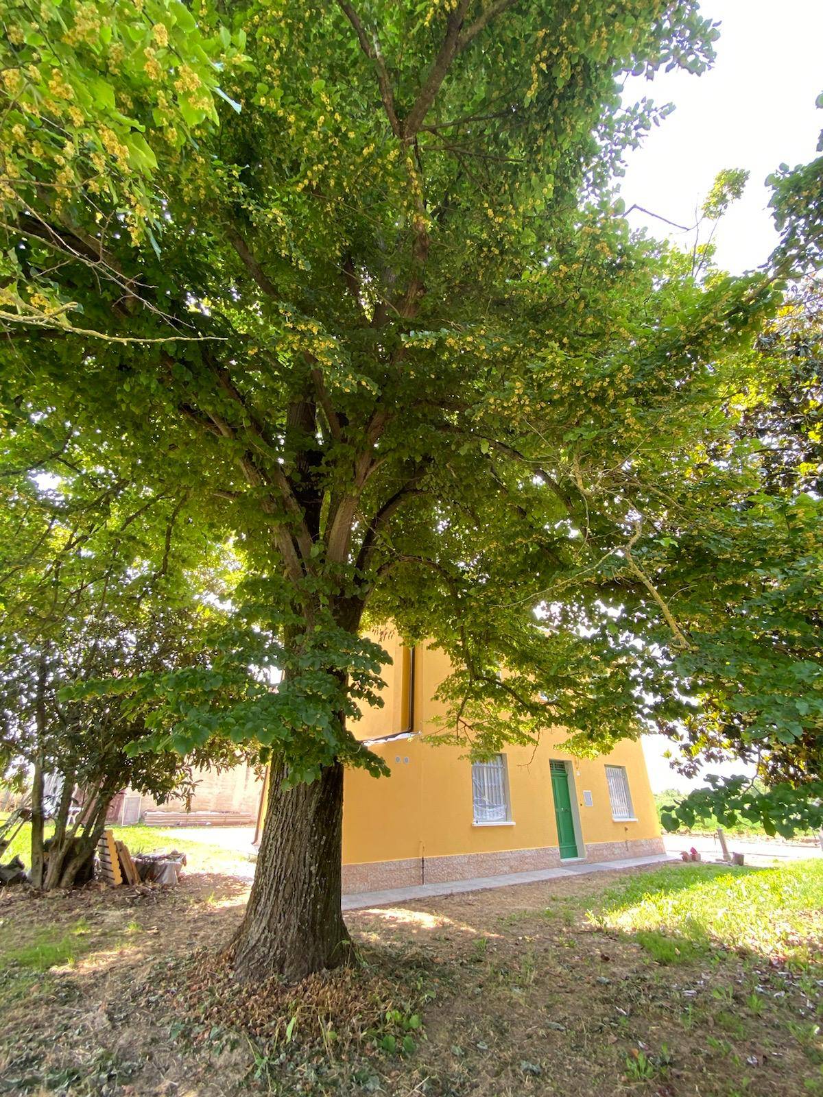 Immagine 23 di Villa in vendita  in Via Canalazzi 167 a Ferrara