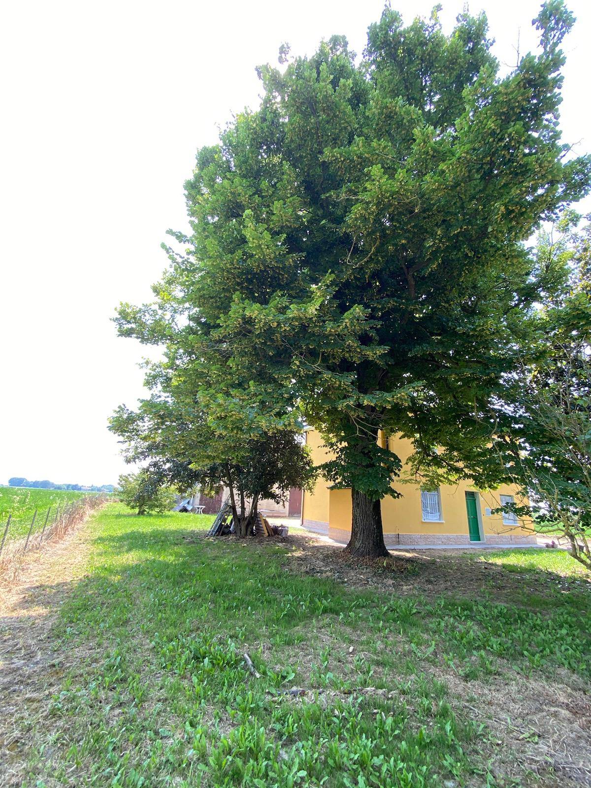 Immagine 24 di Villa in vendita  in Via Canalazzi 167 a Ferrara