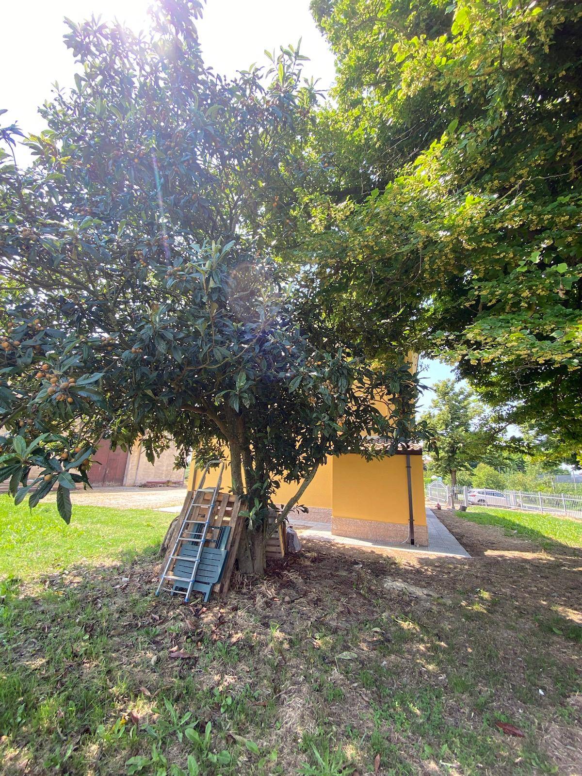 Immagine 25 di Villa in vendita  in Via Canalazzi 167 a Ferrara