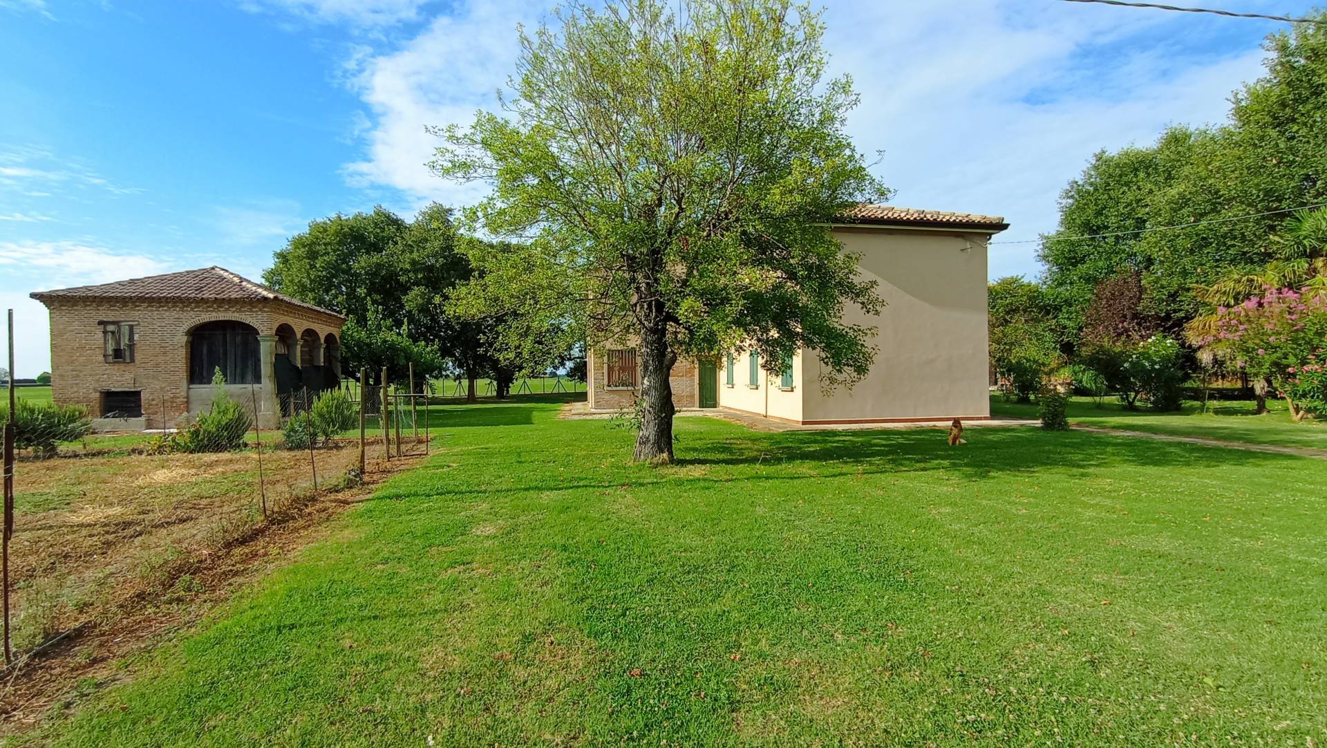 Immagine 4 di Villa in vendita  in via Gresolo 13 a Argenta