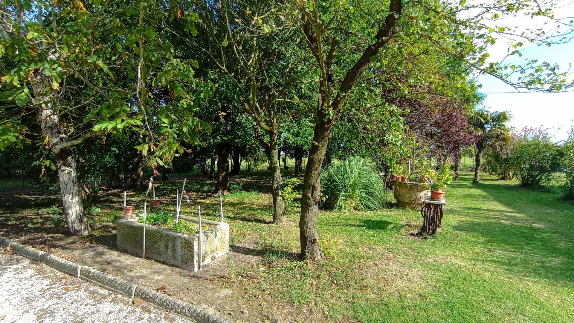 Immagine 24 di Villa in vendita  in via Gresolo 13 a Argenta