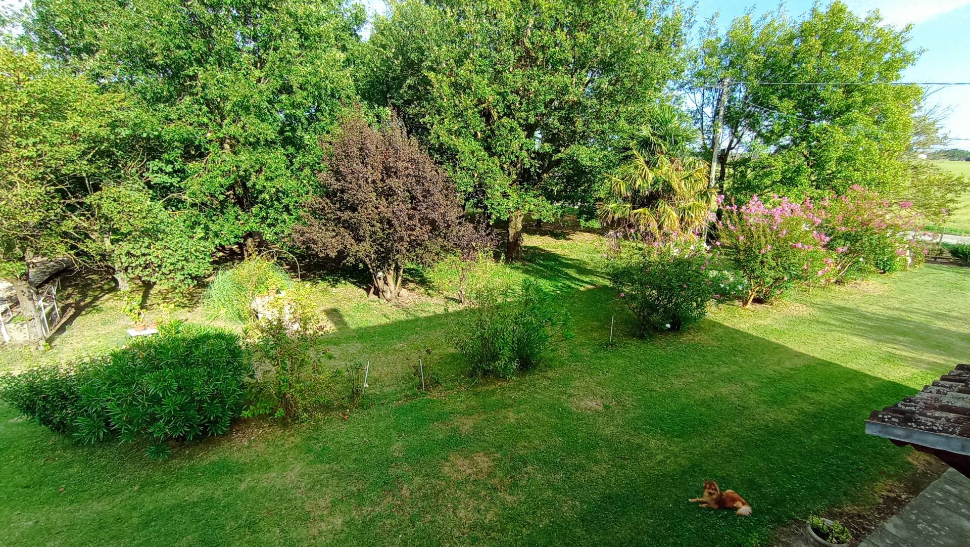 Immagine 25 di Villa in vendita  in via Gresolo 13 a Argenta