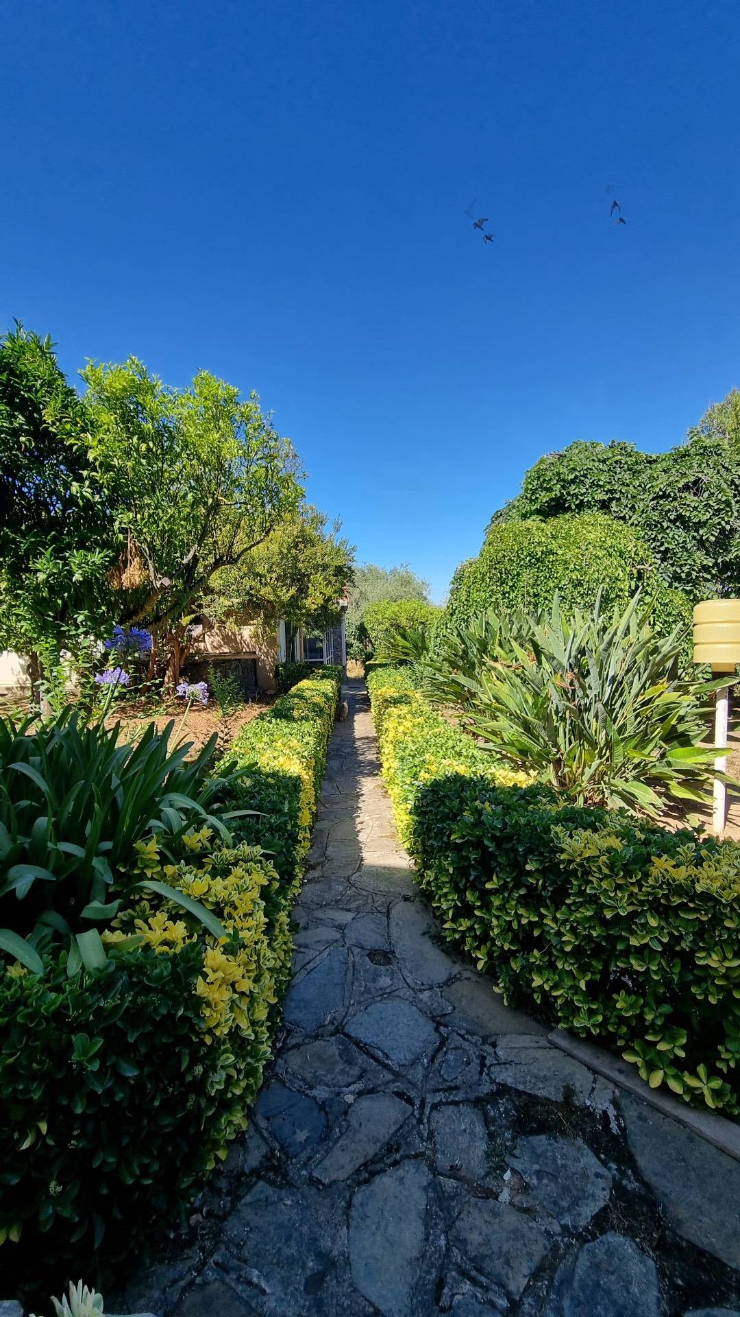 Immagine 26 di Villa in vendita  in Strada vicinale montalè 4 a Sassari