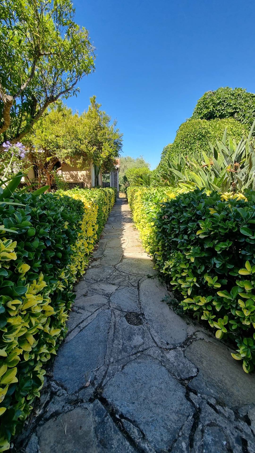 Immagine 28 di Villa in vendita  in Strada vicinale montalè 4 a Sassari