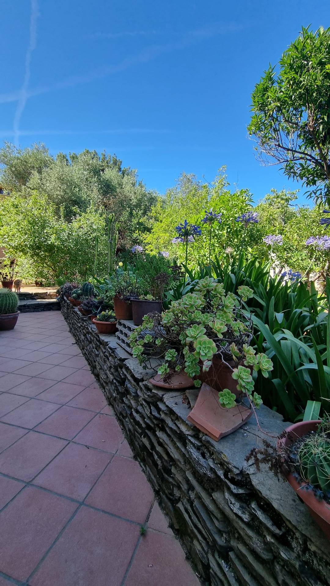 Immagine 29 di Villa in vendita  in Strada vicinale montalè 4 a Sassari