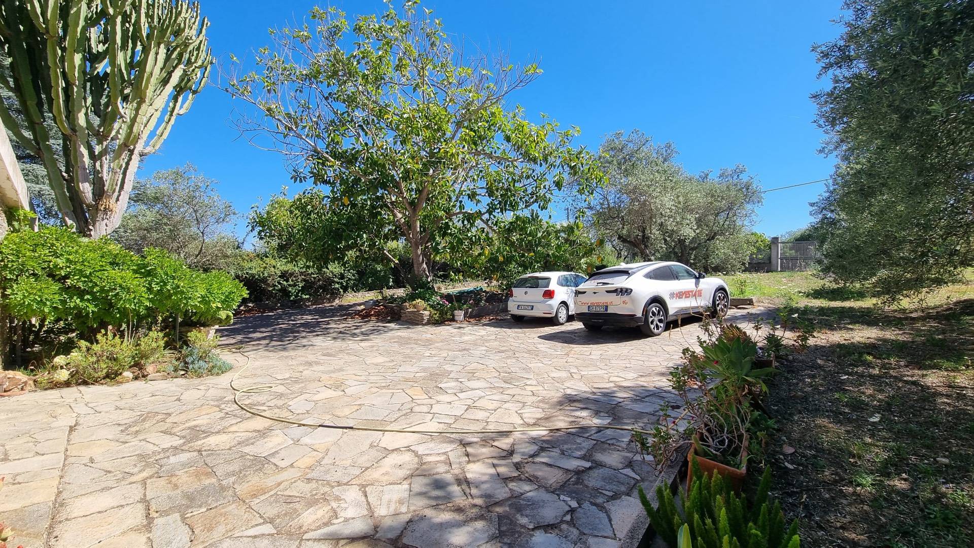 Immagine 31 di Villa in vendita  in Strada vicinale montalè 4 a Sassari