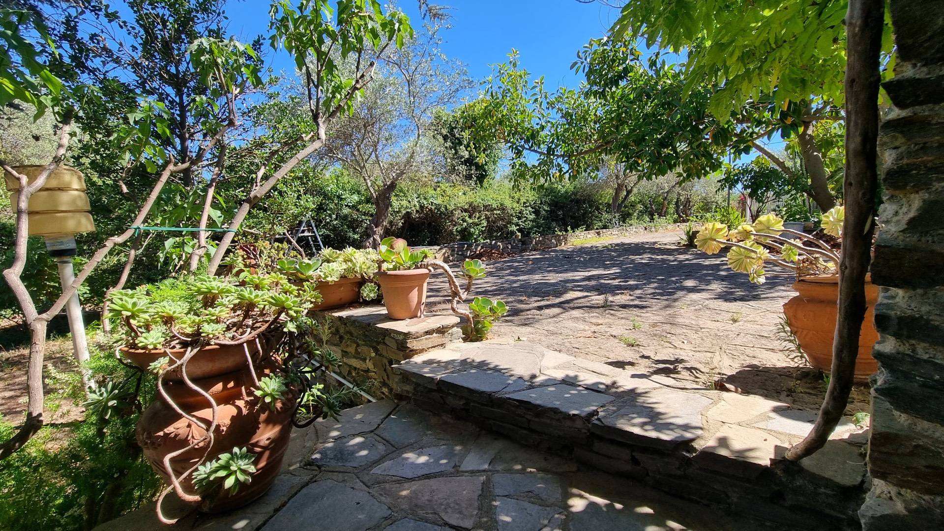 Immagine 32 di Villa in vendita  in Strada vicinale montalè 4 a Sassari