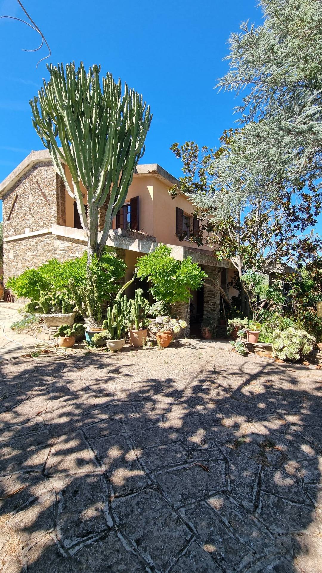 Immagine 33 di Villa in vendita  in Strada vicinale montalè 4 a Sassari