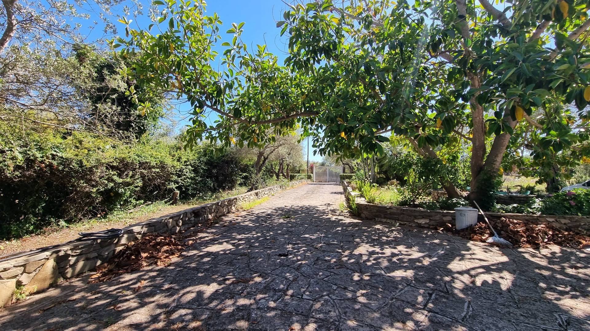 Immagine 35 di Villa in vendita  in Strada vicinale montalè 4 a Sassari