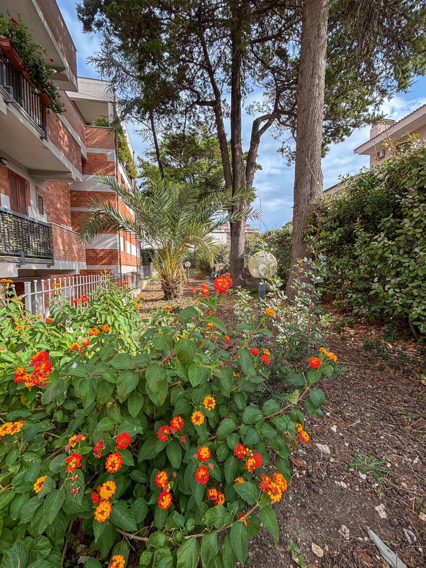 Immagine 25 di Appartamento in vendita  in via Nieddu 4 a Sassari