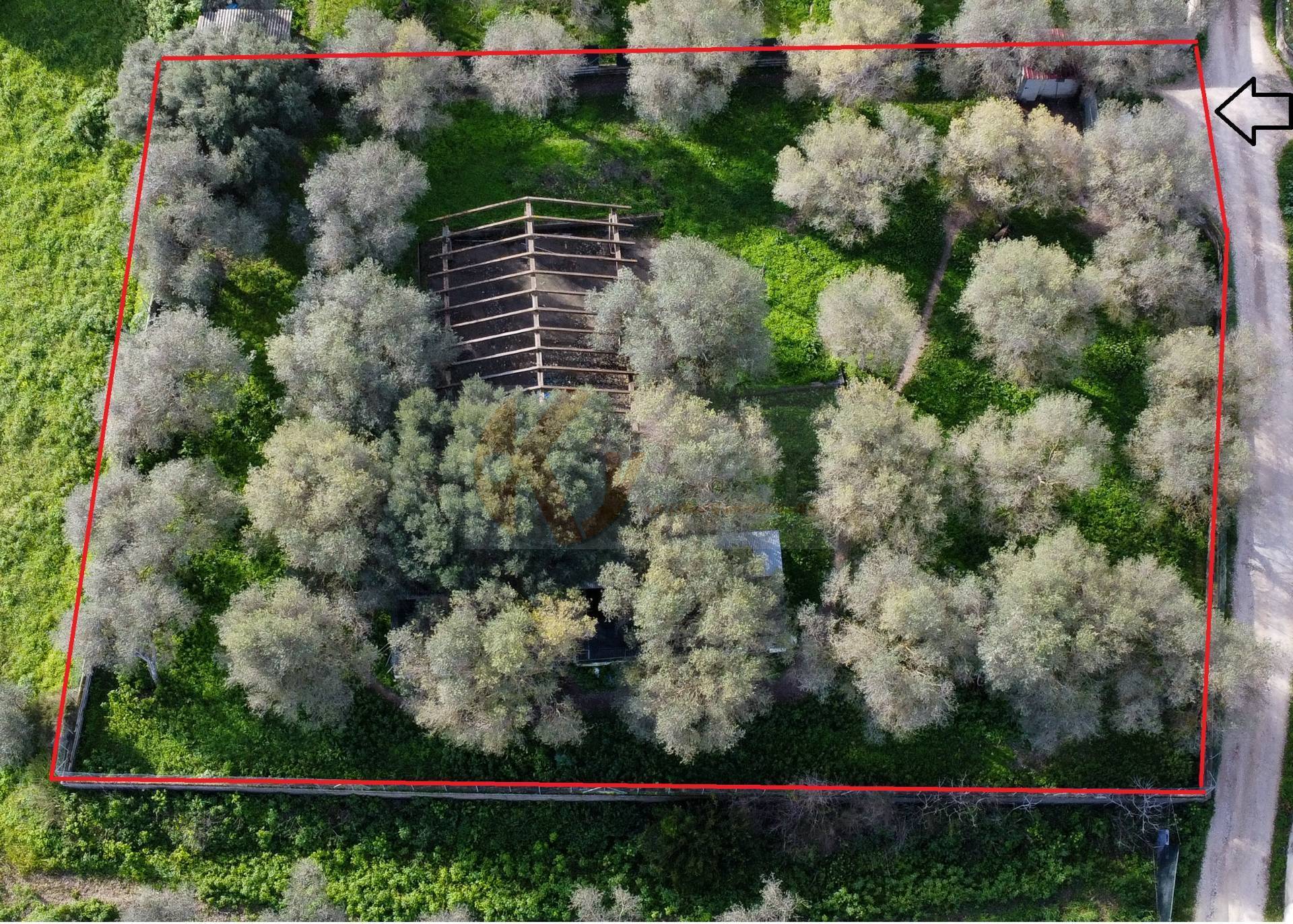 Immagine 19 di Terreno agricolo in vendita  in strada vicinale santu tettaru a Sassari