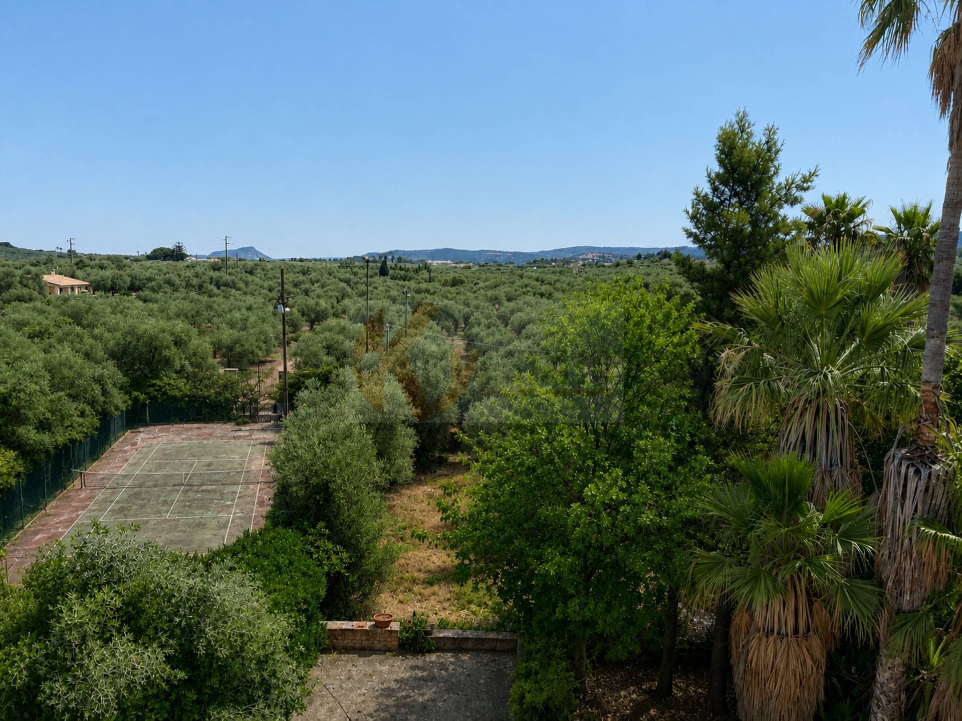 Foto annuncio 5