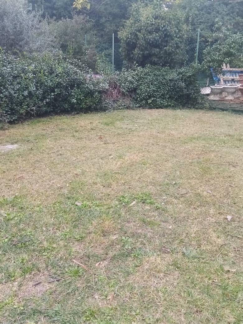 Foto annuncio 38