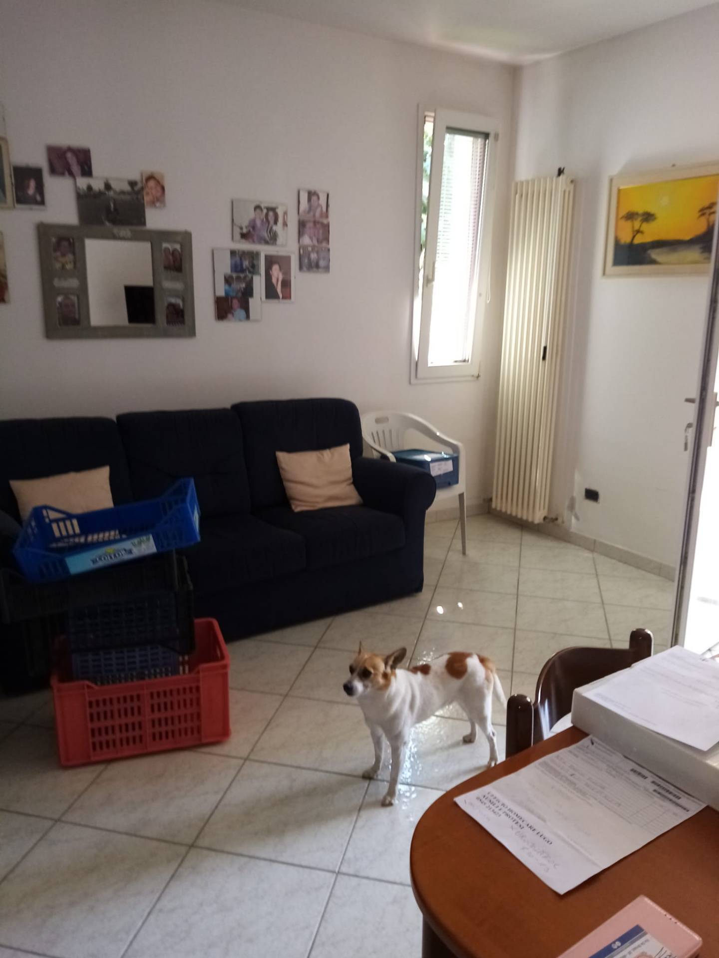 Foto annuncio 2