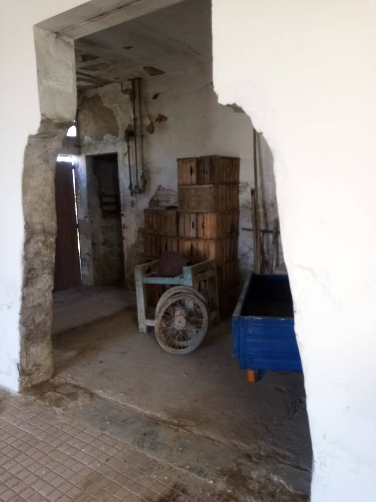 Foto annuncio 5