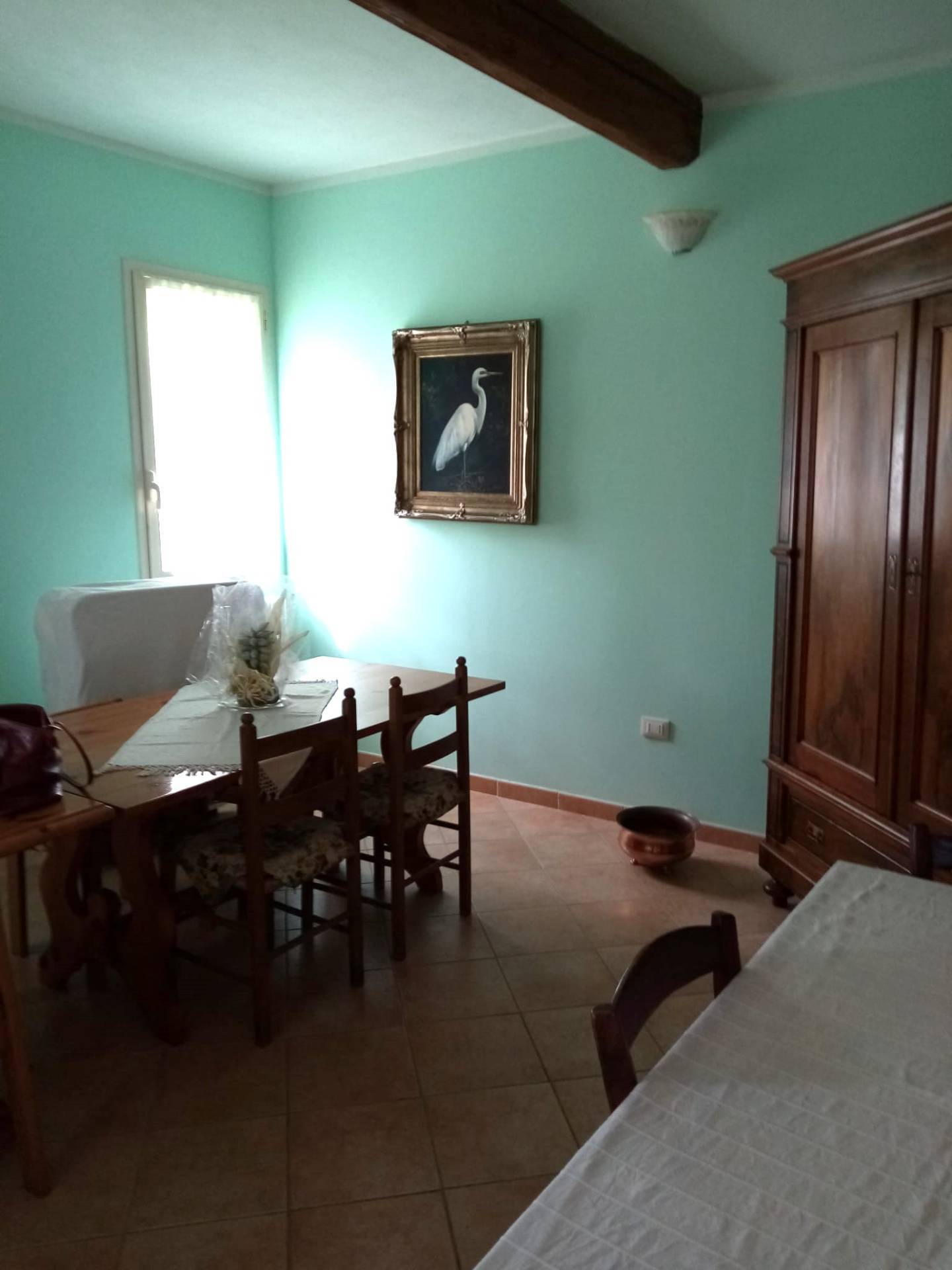 Foto annuncio 22