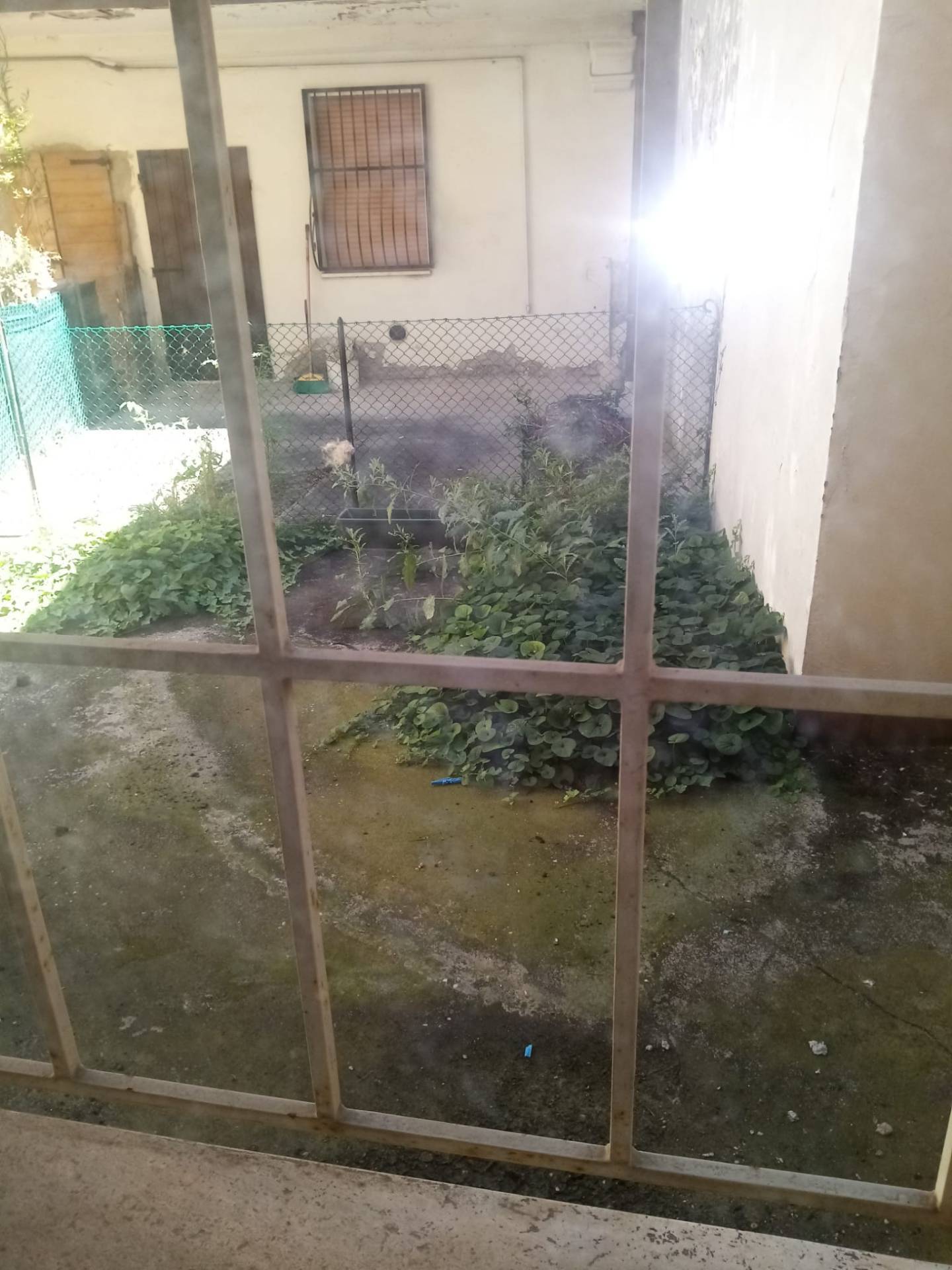 Foto annuncio 11