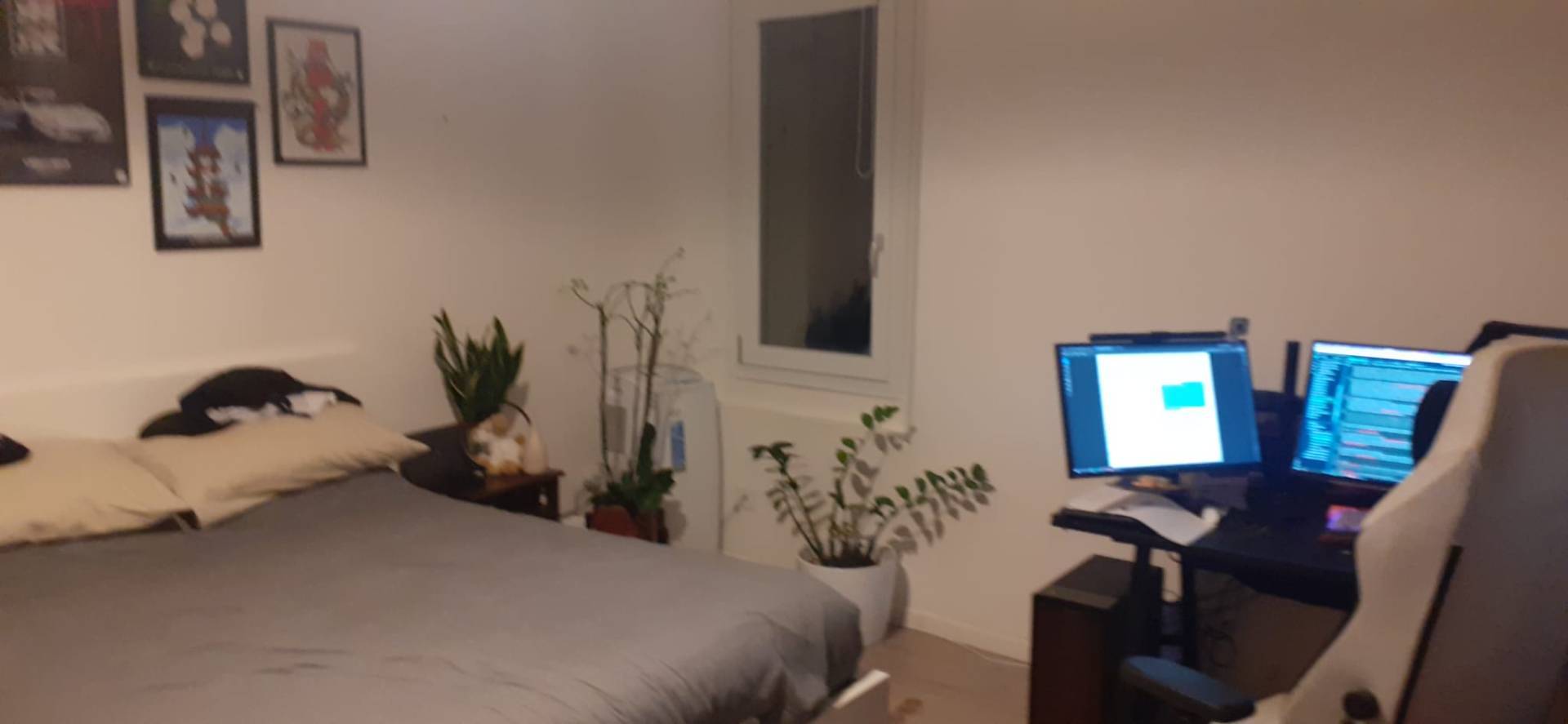 Foto annuncio 2