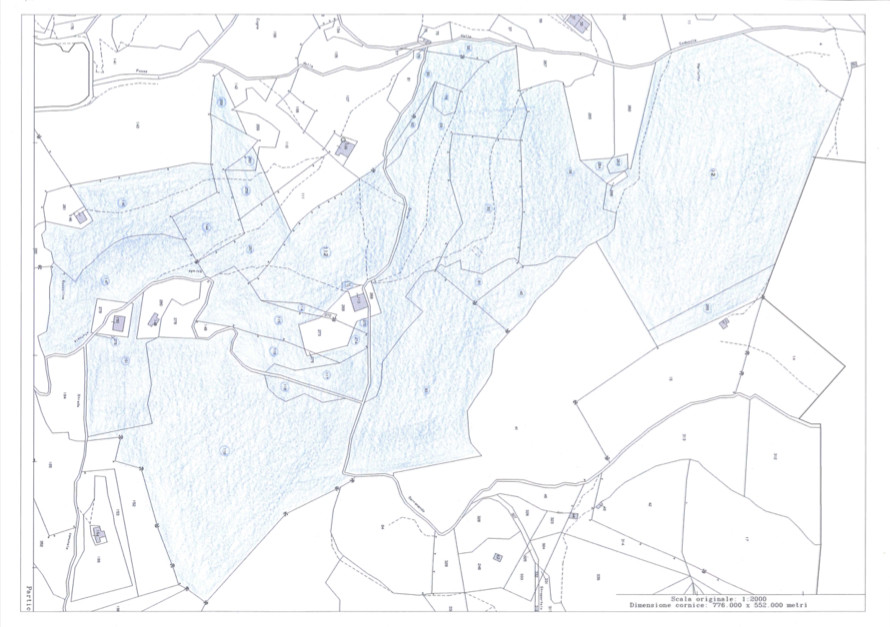 Immagine 70 di Terreno agricolo in vendita  in Plagna a Collio