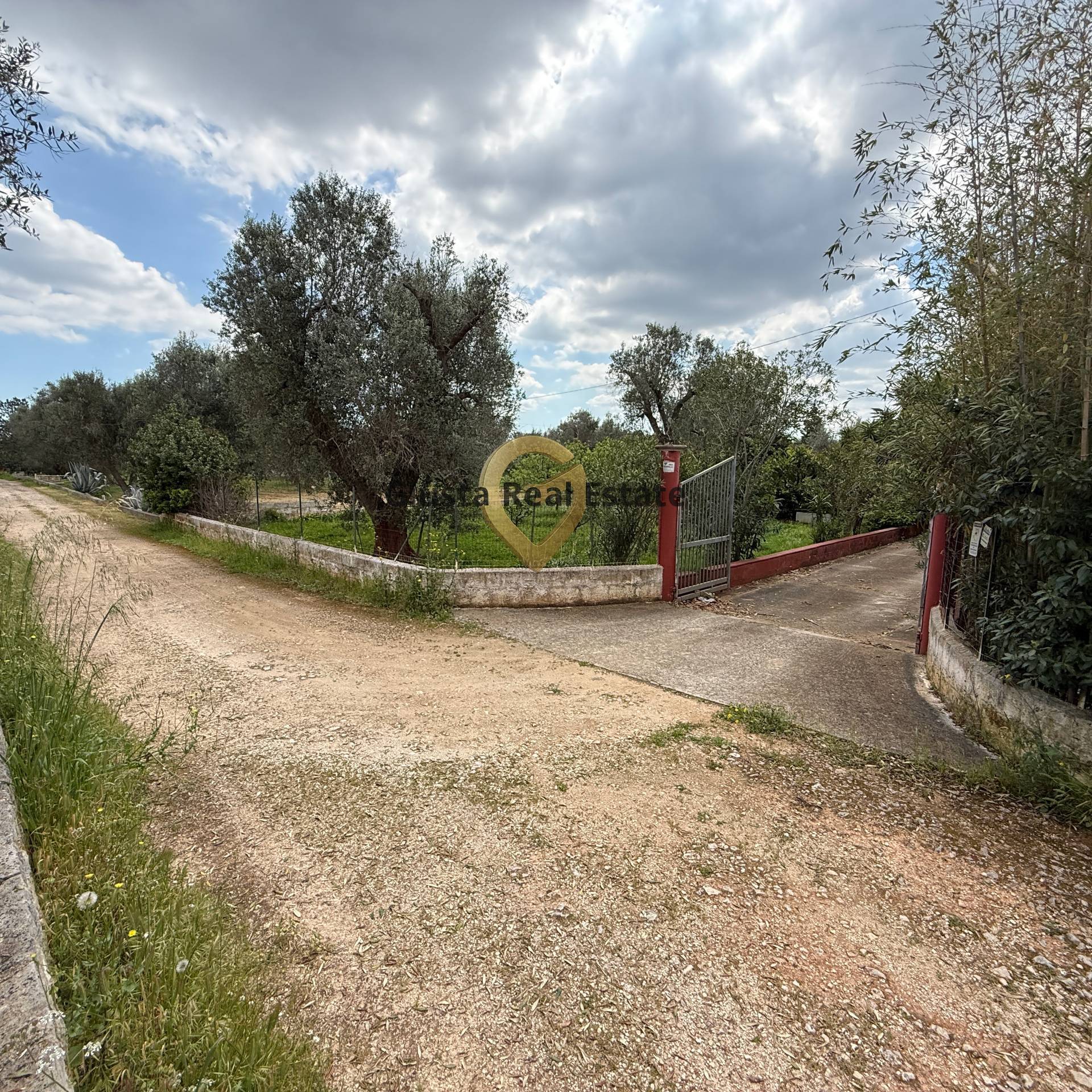 Foto annuncio 5
