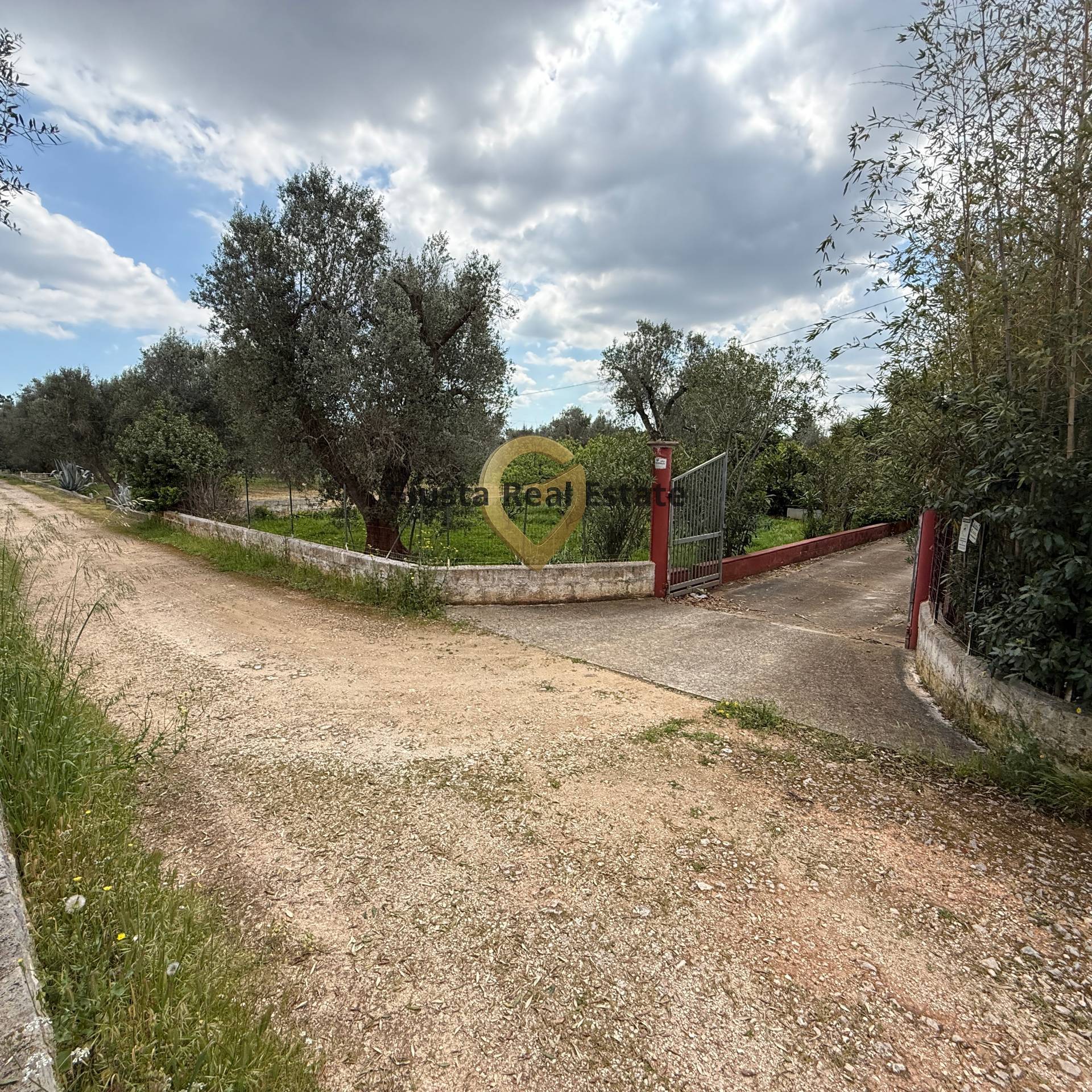 Foto annuncio 6