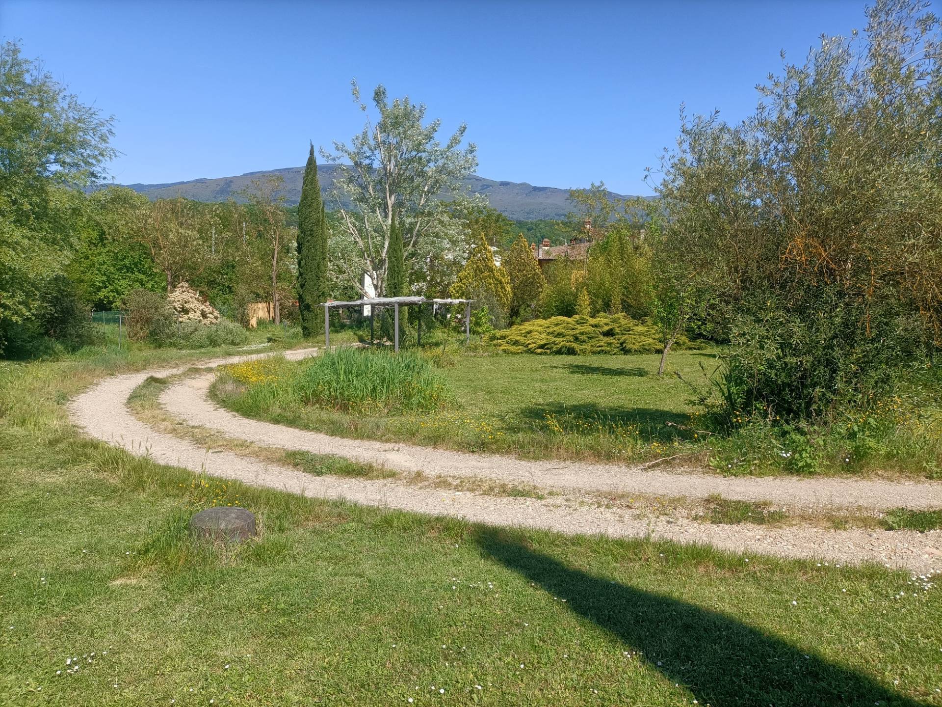 Foto annuncio 31
